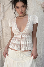 Elegant Solid Lace V Neck Sheer Blouse