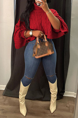 Casual Solid Asymmetrical Turtleneck Sweaters (5 Colors)