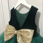 Toddler prom Dress Little Girl Communion Pageant Mesh Bow Puffy Princess Dress