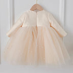 Elegant Baby Girl Long-sleeved Big Bow Pearl Tulle Dress Toddler First Communion Dress