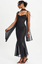 Polka Dot  Ribbon Sheer Bodycon Maxi Dress