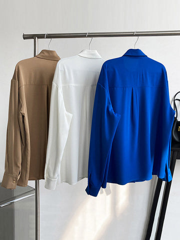 Blusa elegante de manga larga en tres colores lisos 