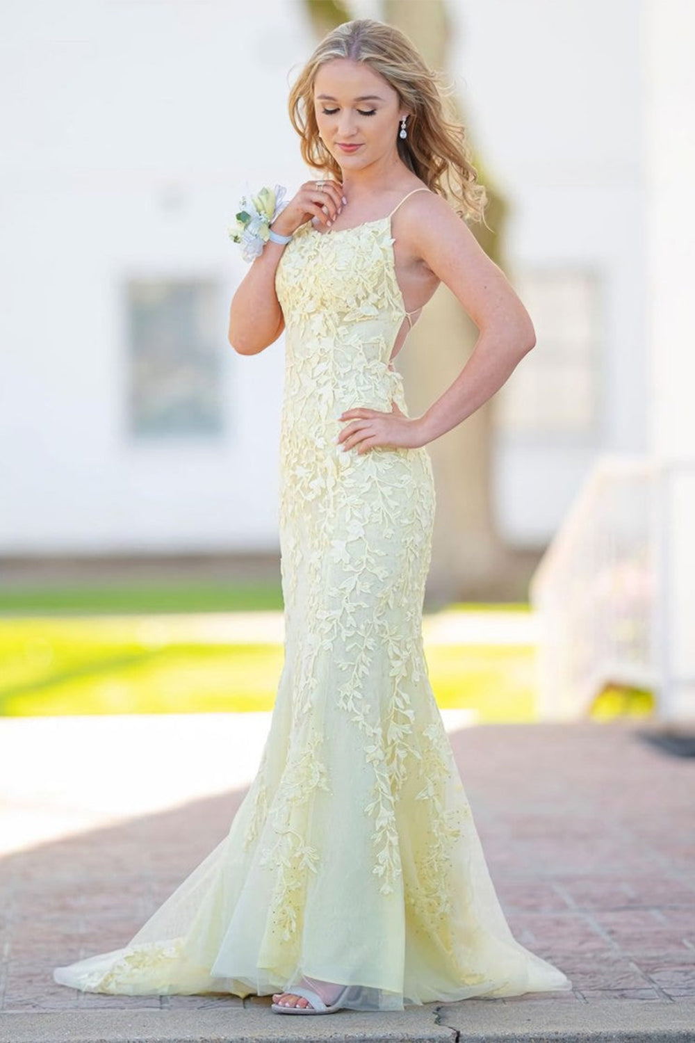 Mermaid Long Prom Dress Backless Evening Dress