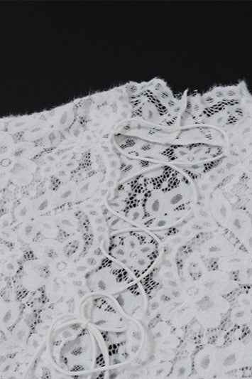 Lace Deep VLong Sleeve Split Maxi Dress