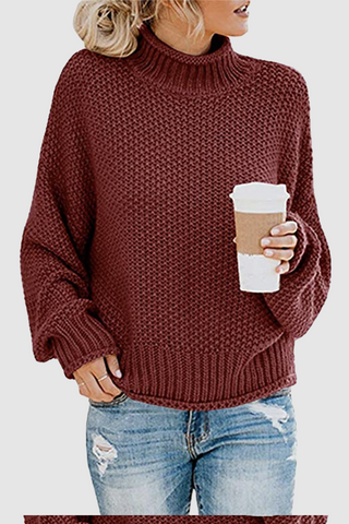 Casual Solid Patchwork Turtleneck Sweaters(11 Colors)