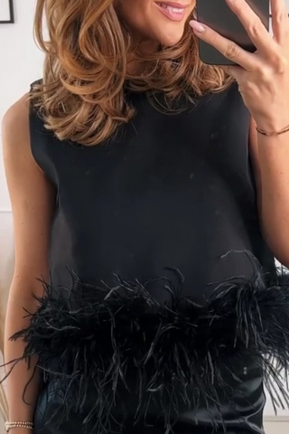 Casual Solid Feathers O Neck Tops(5 Colors)