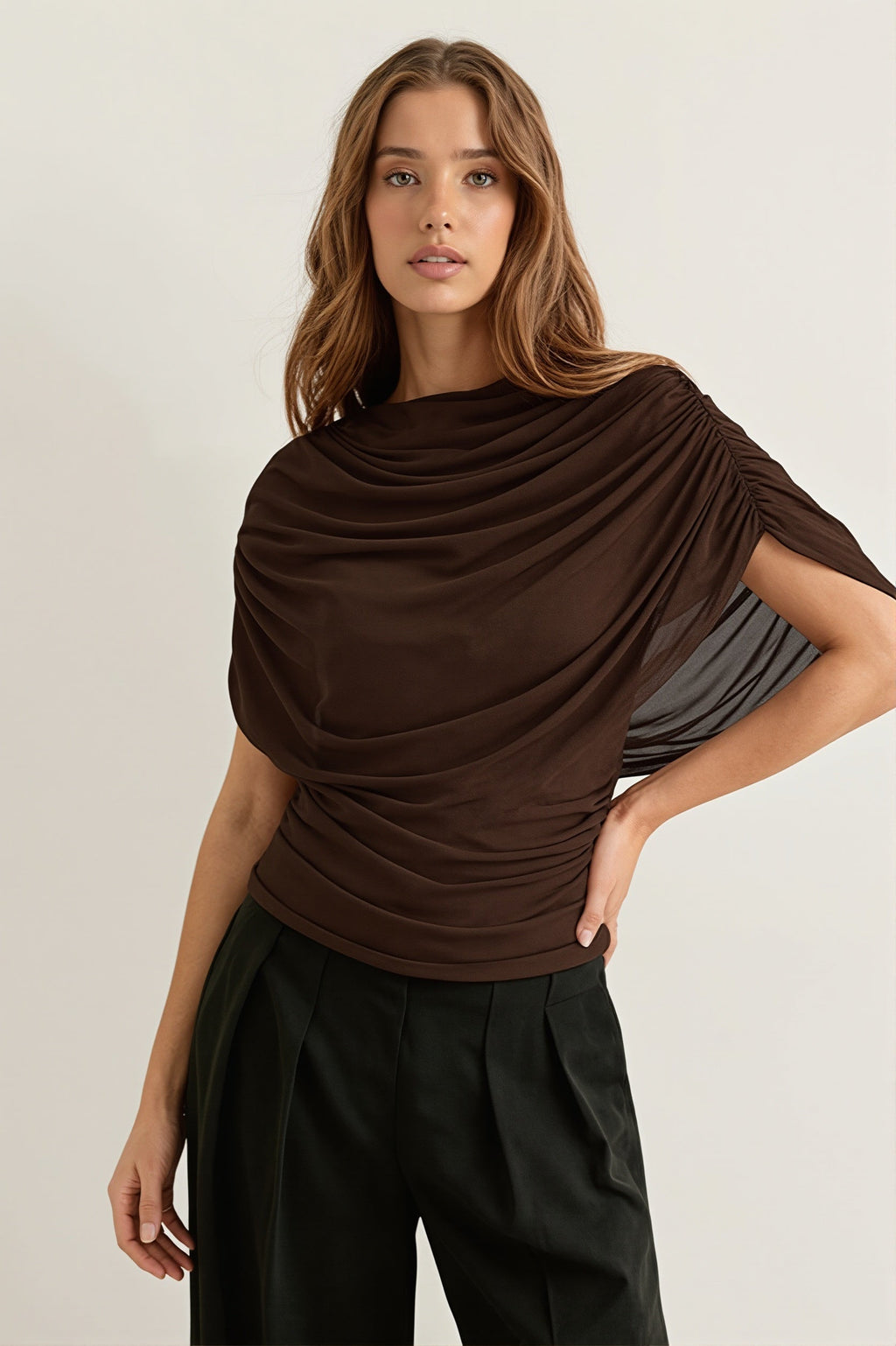 Solid Sheer Ruffle Scarf Neck Blouse