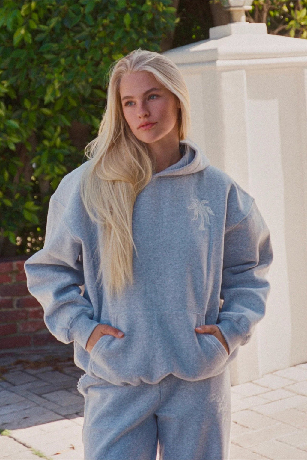 Embroidered Wing Graphic Hoodie