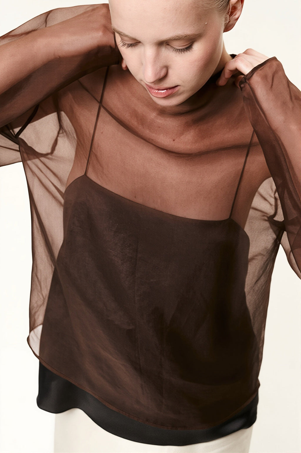 Sheer Mesh Long Sleeve Blouse