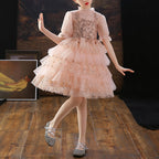 Mädchen Sommerkleid Rosa Pailletten Schleppe Prinzessin Festzug Geburtstag Kommunion 
