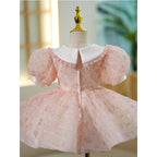 Baby Girl First Communion Toddler Summer Puff Sleeves Bow Puffy Princess Dress