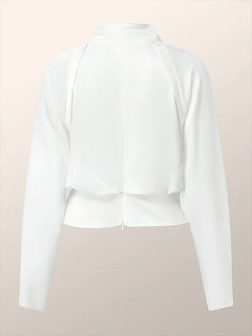 Long Sleeves Solid Color Zipper V-neck Blouses&shirts Tops