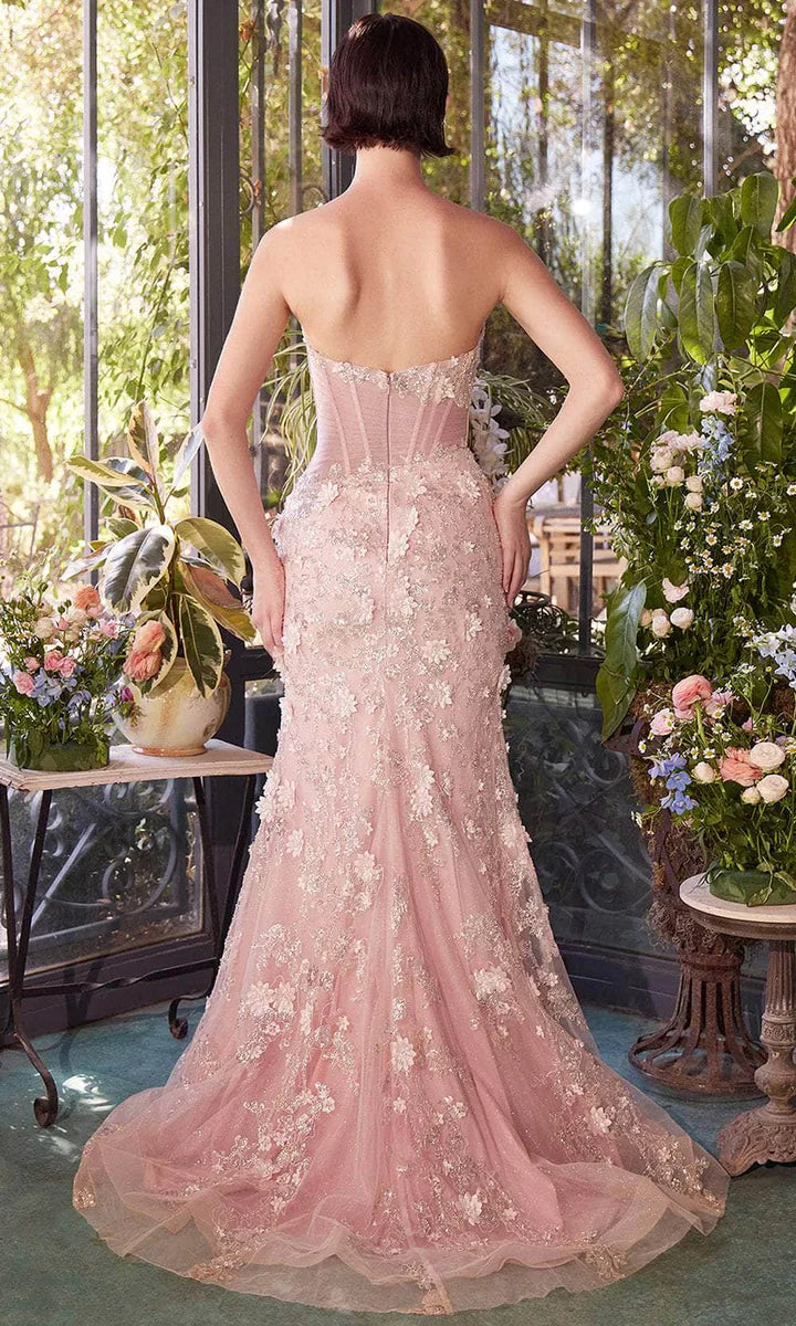 Artistic Appliqued V-Neck Tulle Sweep/Brush Train Prom Gown