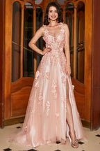 Artistic A-Line Spaghetti Straps Blush Long Prom Dress with Appliques