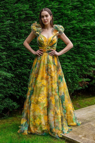 Dana Printed Ruffle Chiffon Maxi Dress