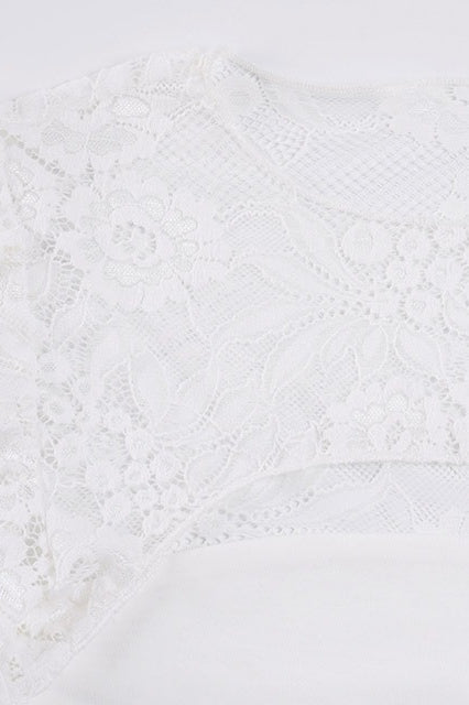 Sheer Lace Hollow Flare Sleeve Blouse