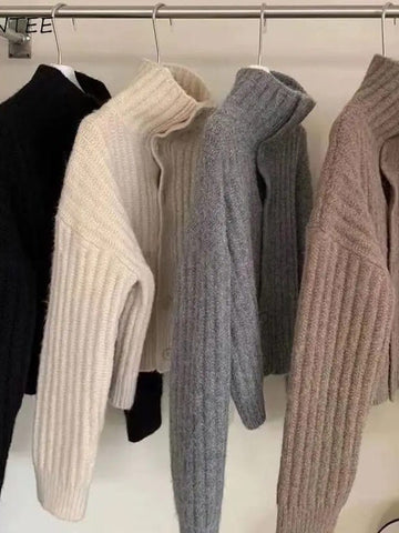 Pullover mit hohem Kragen 