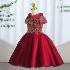 Sweet Baby Girl Birthday Party Dress Toddler First Communion Dress