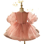 Vestido de primera comunión para niña pequeña, vestido de fiesta de cumpleaños para niña pequeña, vestido de desfile con flores y volantes. 