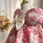Baby Girl First Communion Girl Birthday Party Pageant Flower Bowknot Dress