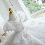 Elegantes weißes Pailletten-Mesh-Prinzessinnenkleid für Babys und Kleinkinder – Kommunionskleid 