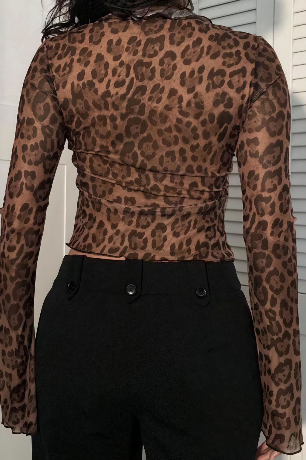 Leopard Print Sheer Tie Long Sleeve Blouse