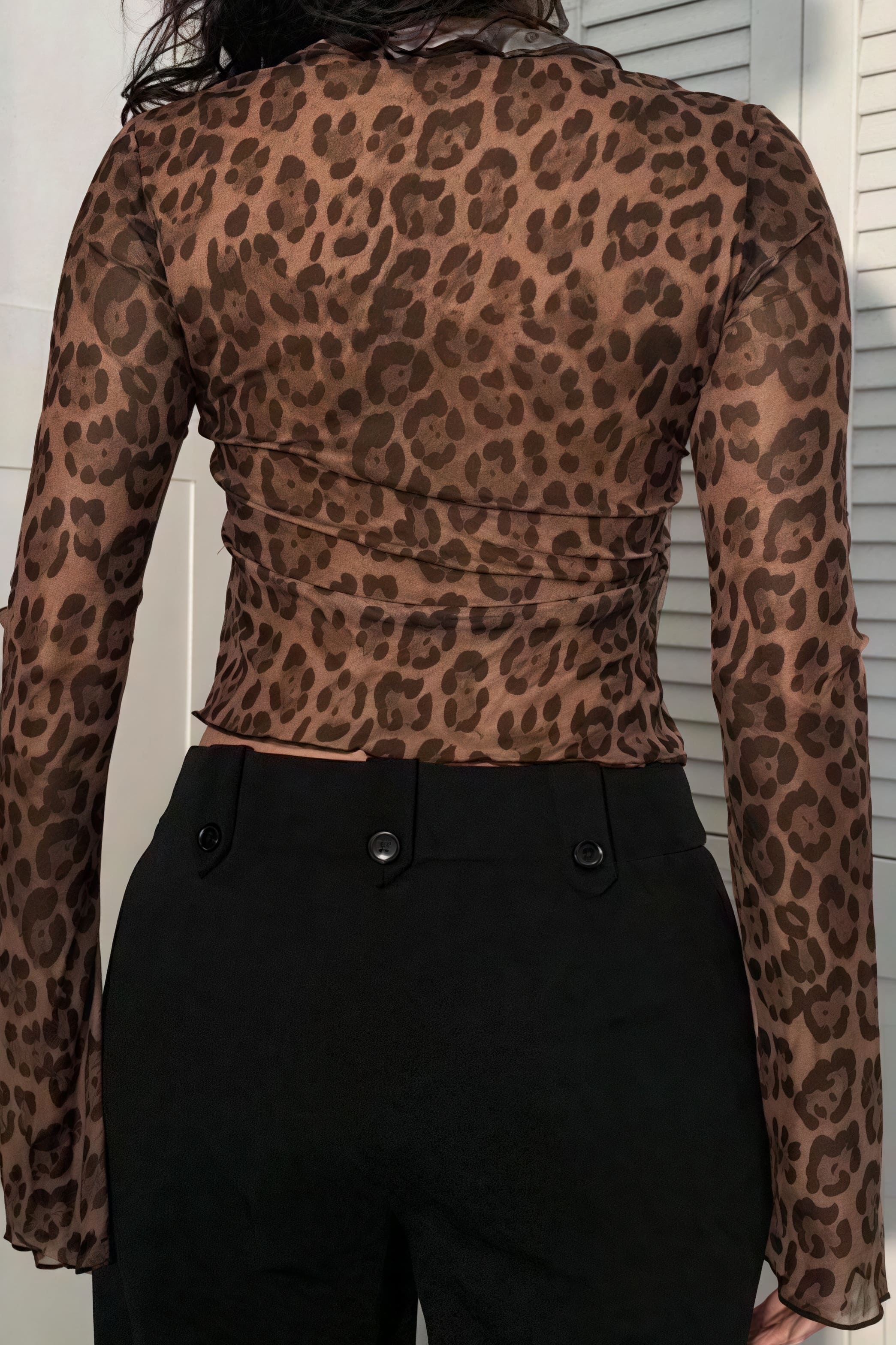 Leopard Print Sheer Tie Long Sleeve Blouse