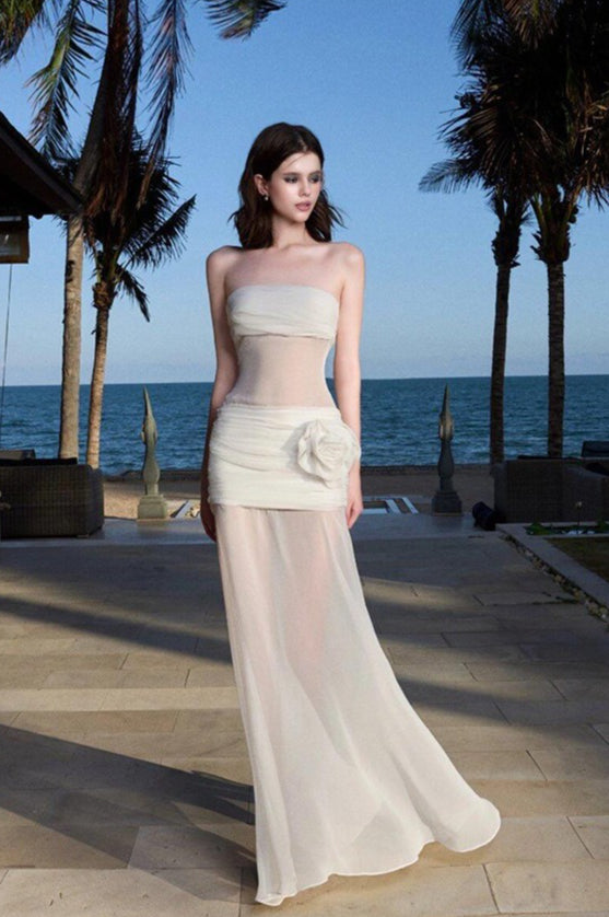 Solid Sheer Mesh Bandeau Maxi Dress