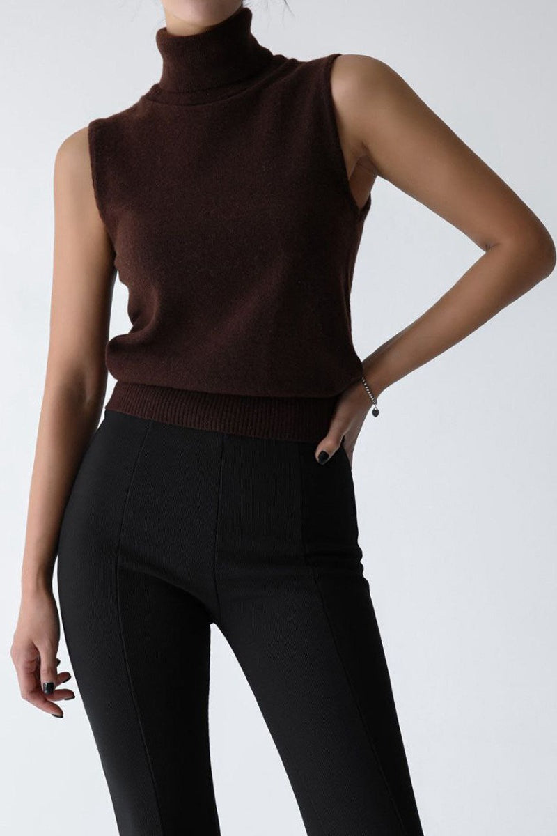 Slim Turtleneck Knit Top