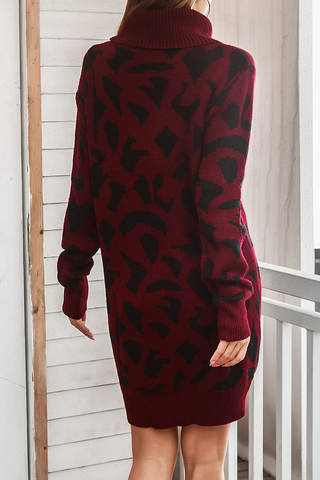 Casual Print  Contrast Turtleneck Dresses Sweater