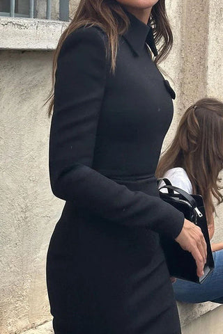 Klassisches, temperamentvolles, langärmliges, formelles Midikleid mit Umlegekragen 