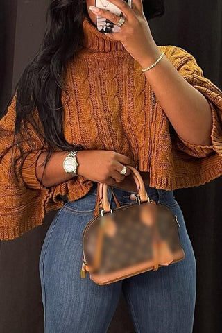 Casual Solid Asymmetrical Turtleneck Sweaters (5 Colors)