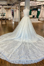 Elegante, lange A-Linien-Hochzeitskleider mit V-Ausschnitt, floraler Spitze und offenem Rücken