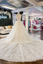 Elegante, lange A-Linien-Hochzeitskleider mit V-Ausschnitt, floraler Spitze und offenem Rücken