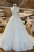 Elegante, lange A-Linien-Hochzeitskleider mit V-Ausschnitt, floraler Spitze und offenem Rücken