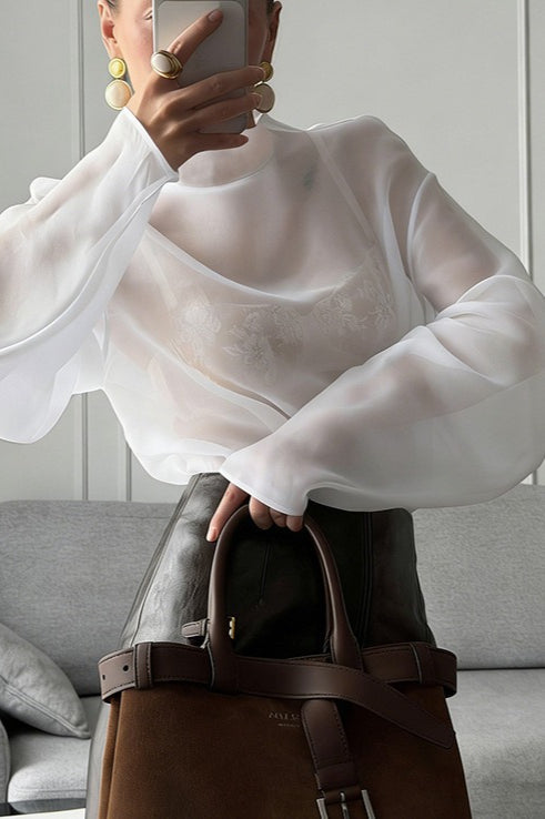 Sheer Mesh Long Sleeve Blouse