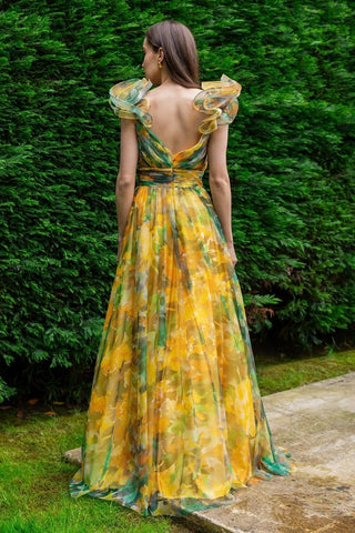 Dana Printed Ruffle Chiffon Maxi Dress