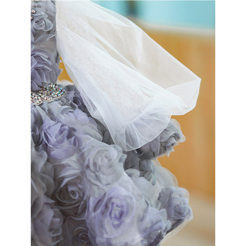Vestido de primera comunión para niña, vestido de princesa para niña de las flores, vestido esponjoso de malla con cuentas rosas 