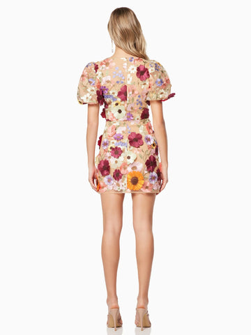 Party Dress Applique Short Sleeves V-Neck Birthday Party Mini Dresses