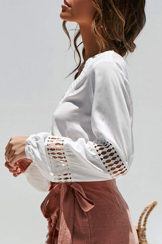 Casual Elegant Solid Lace Hollowed Out V Neck Blouses(5 Colors)