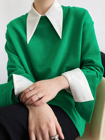 Blusa elegante de manga larga en tres colores lisos 