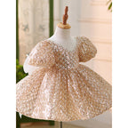Cute Baby Girl First Communion Dress Toddler Birthday Party Princess Dress