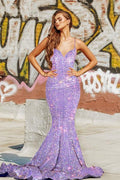 Langes, formelles Ballkleid