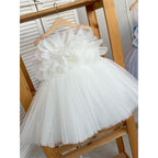 Niedliches Baby-Mädchen-Kleidchen, bauschig, Erstkommunionkleid, Kleinkind-Geburtstagskleid, Prinzessinnenkleid 